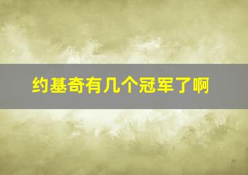 约基奇有几个冠军了啊