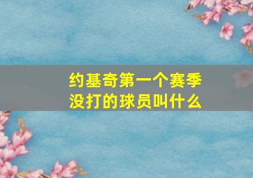 约基奇第一个赛季没打的球员叫什么