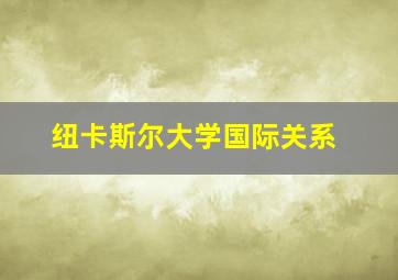 纽卡斯尔大学国际关系