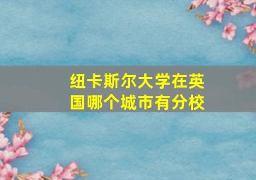 纽卡斯尔大学在英国哪个城市有分校