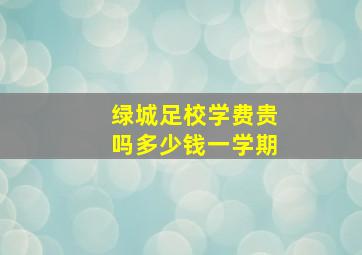 绿城足校学费贵吗多少钱一学期