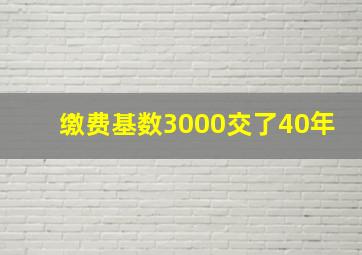 缴费基数3000交了40年