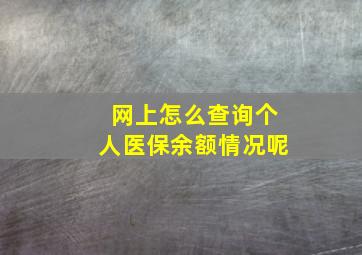 网上怎么查询个人医保余额情况呢