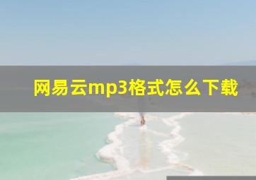 网易云mp3格式怎么下载