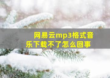 网易云mp3格式音乐下载不了怎么回事