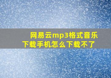 网易云mp3格式音乐下载手机怎么下载不了