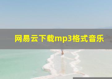 网易云下载mp3格式音乐