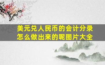 美元兑人民币的会计分录怎么做出来的呢图片大全