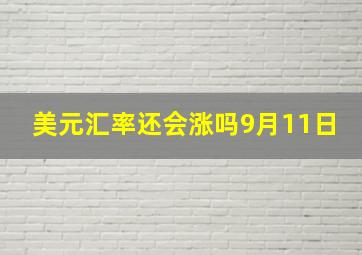 美元汇率还会涨吗9月11日