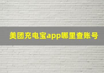 美团充电宝app哪里查账号