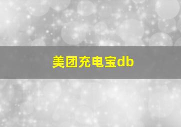 美团充电宝db