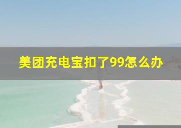 美团充电宝扣了99怎么办