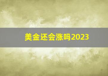 美金还会涨吗2023