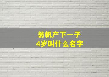 翁帆产下一子4岁叫什么名字