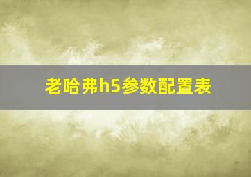 老哈弗h5参数配置表