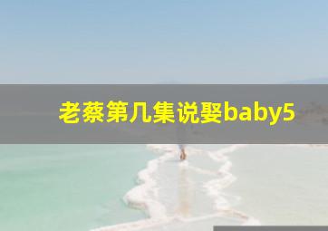 老蔡第几集说娶baby5