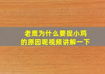 老鹰为什么要捉小鸡的原因呢视频讲解一下