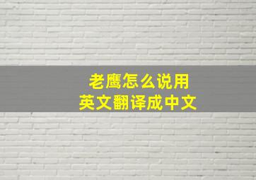 老鹰怎么说用英文翻译成中文