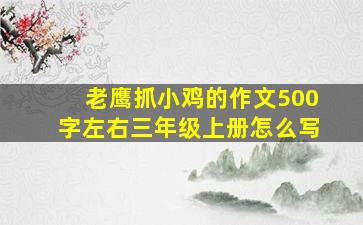 老鹰抓小鸡的作文500字左右三年级上册怎么写