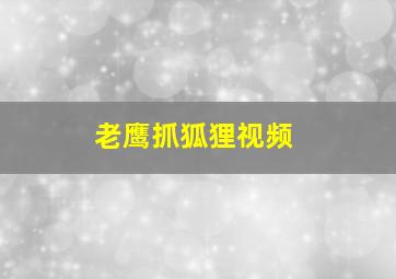 老鹰抓狐狸视频