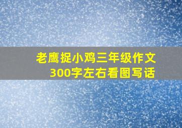 老鹰捉小鸡三年级作文300字左右看图写话