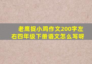 老鹰捉小鸡作文200字左右四年级下册语文怎么写呀