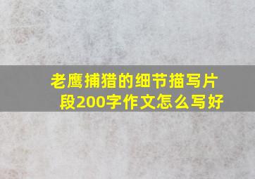 老鹰捕猎的细节描写片段200字作文怎么写好