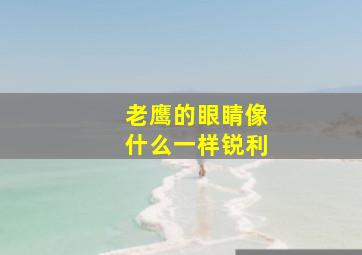 老鹰的眼睛像什么一样锐利