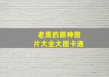 老鹰的眼神图片大全大图卡通