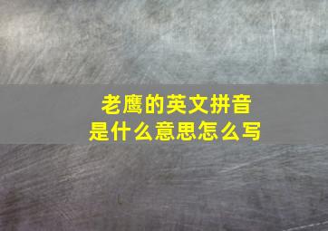 老鹰的英文拼音是什么意思怎么写