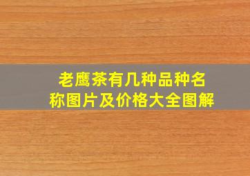 老鹰茶有几种品种名称图片及价格大全图解