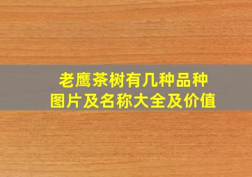 老鹰茶树有几种品种图片及名称大全及价值