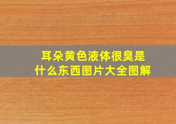 耳朵黄色液体很臭是什么东西图片大全图解