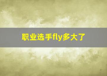 职业选手fly多大了