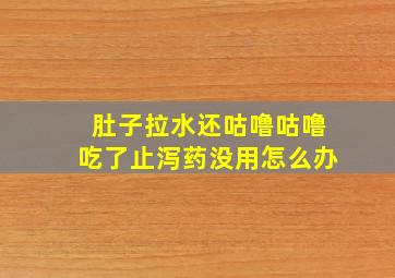 肚子拉水还咕噜咕噜吃了止泻药没用怎么办