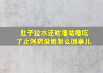 肚子拉水还咕噜咕噜吃了止泻药没用怎么回事儿