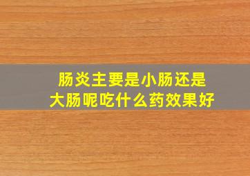 肠炎主要是小肠还是大肠呢吃什么药效果好