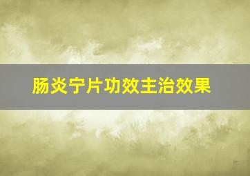 肠炎宁片功效主治效果