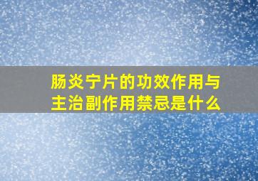 肠炎宁片的功效作用与主治副作用禁忌是什么