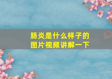 肠炎是什么样子的图片视频讲解一下