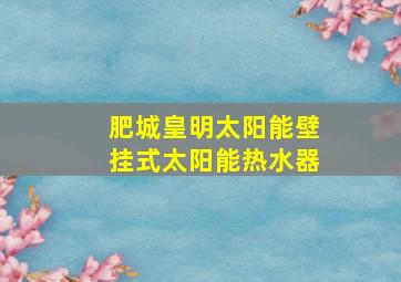 肥城皇明太阳能壁挂式太阳能热水器