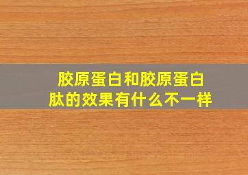 胶原蛋白和胶原蛋白肽的效果有什么不一样