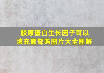 胶原蛋白生长因子可以填充面部吗图片大全图解