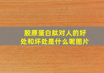 胶原蛋白肽对人的好处和坏处是什么呢图片