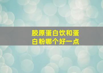 胶原蛋白饮和蛋白粉哪个好一点