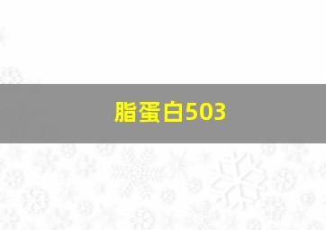 脂蛋白503