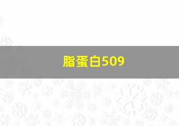 脂蛋白509