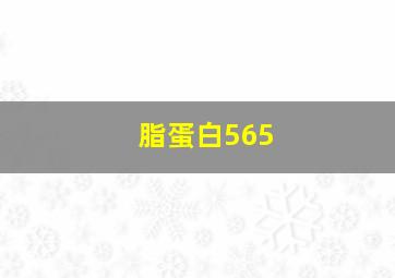 脂蛋白565