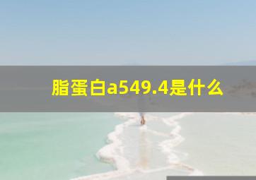 脂蛋白a549.4是什么