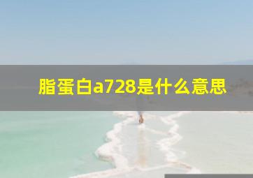 脂蛋白a728是什么意思